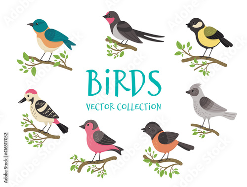 Birds in flat style. Vector collection
