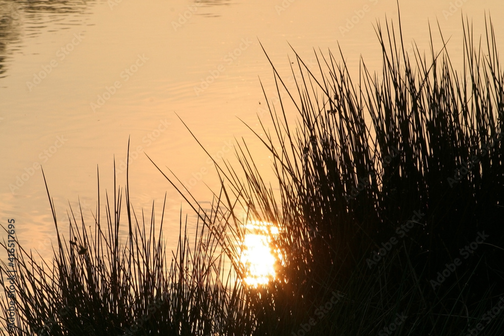 Am Fischwasser Am Fischwasser
