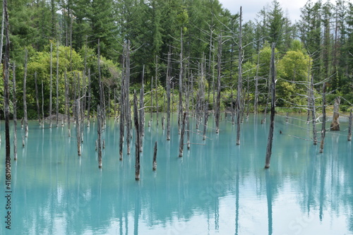 青い池(北海道)Hokkaido