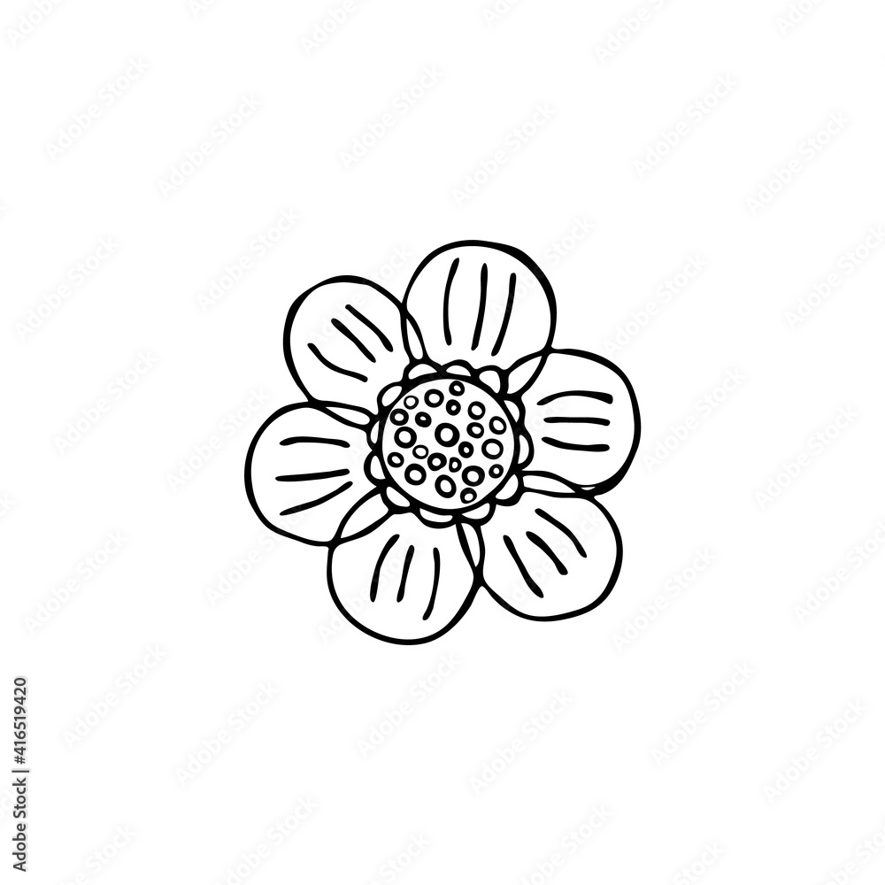 Doodle botany element. Hand-drawn images of flora. Image for various designs. Flower Doodle botany element. Hand-drawn images of flora. Image for various designs. Flower