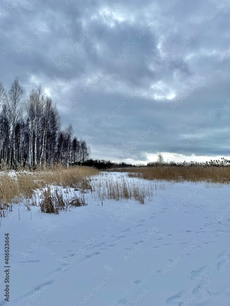 Baltic Sea winter coast beach Daugavgriva pier Latvia