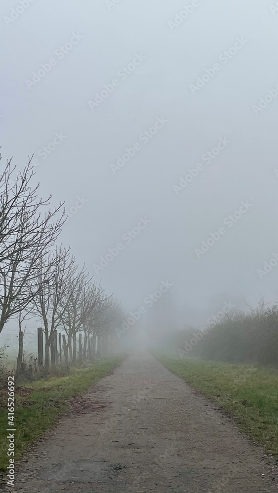 road to the fog