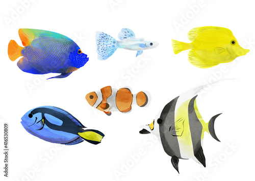 水彩風　熱帯魚のイラスト