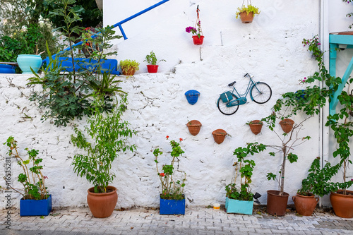 Decorated white wall with plants and bicycle, Kas, Turkey © tache