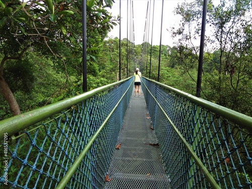 TreeTop Walk in MacRitchie Reservoir Park, Singapore photo