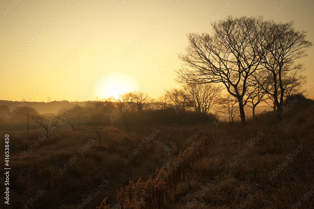 田舎の朝の風景