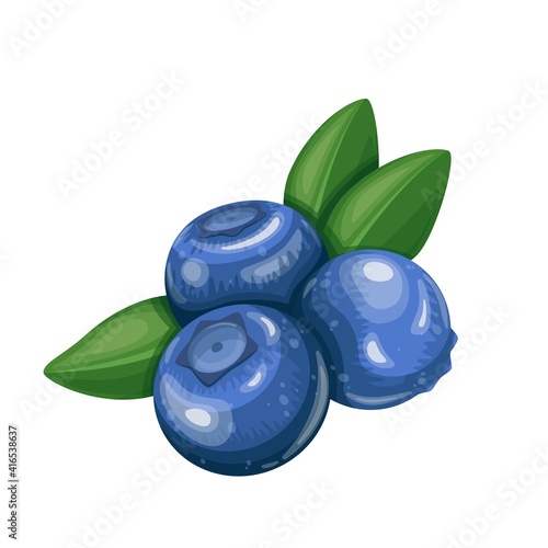Blueberry fruit berry vector illustration in cartoon style. Healthy nutrition, organic food, vegetarian product.