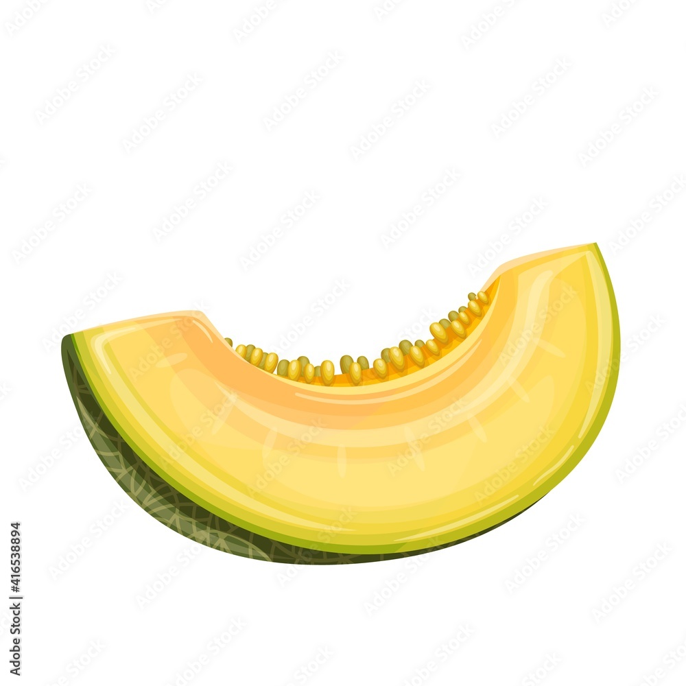 Slice melon fruit vector illustration in cartoon style. Healthy nutrition, organic food, vegetarian product. Slice melon fruit vector illustration in cartoon style. Healthy nutrition, organic food, vegetarian product.