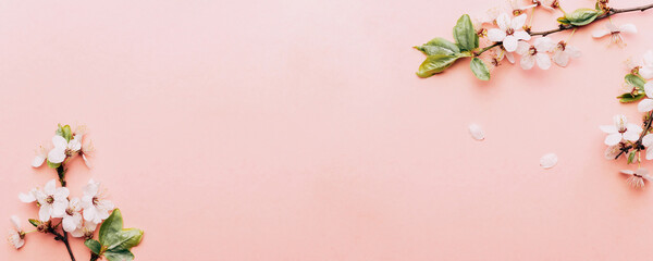 Spring background pink with flower blossom and April floral nature in beautiful scene with blooming tree. Easter Sunny day. Orchard abstract blurred background. Springtime.