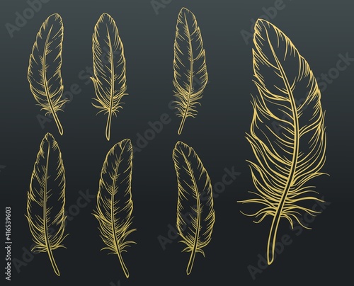 Sketch feathers set. Golden hand drawn bird feather on black background. Vector illustration