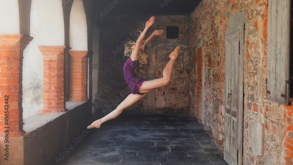 Fototapeta premium Free