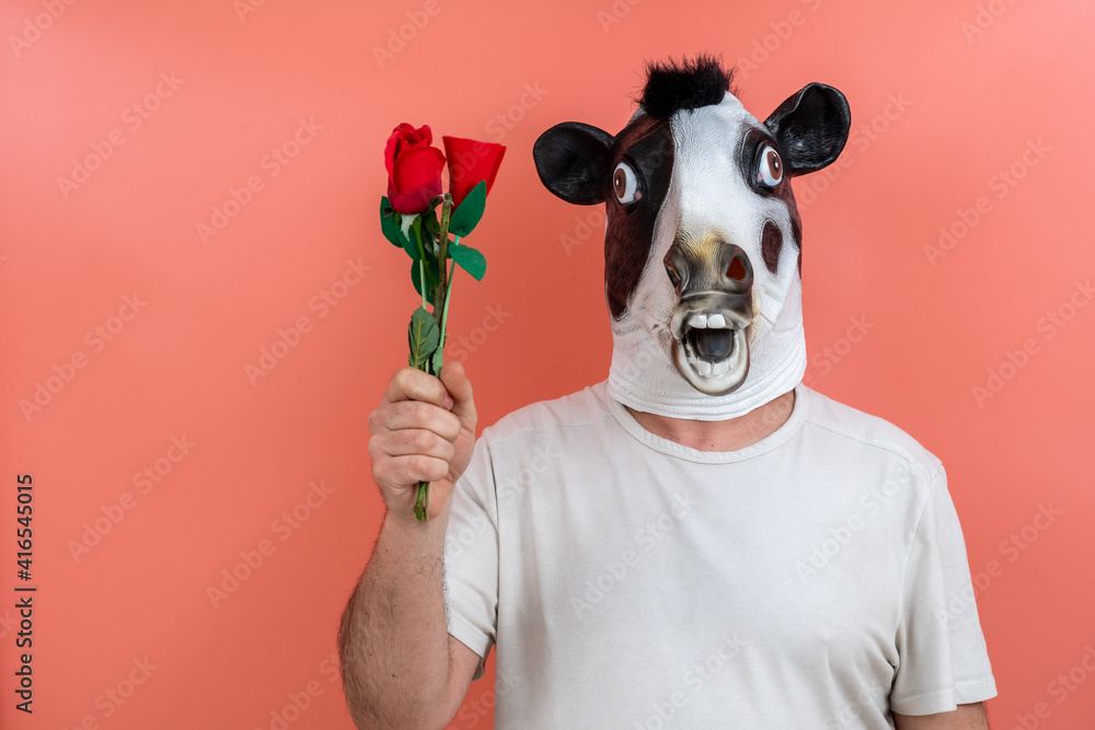 person wearing a cow mask offering a bouquet of flowers, tulips and roses