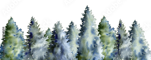 watercolor drawing fir trees