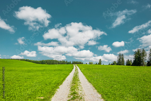 Weg auf einer Grünen Wiese