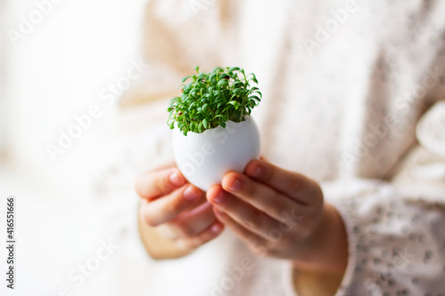 little girl holding cress saladin  eggshell in her hands	
