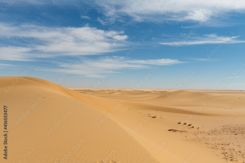 Sand dune in the Tenere Desert, Sahara, Niger, Africa Sand dune in the Tenere Desert, Sahara, Niger, Africa