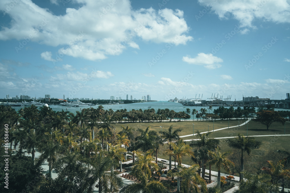 panorama of the city park trees palms horizon sea buildings boats marina