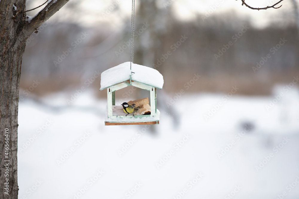 Bird feeder on the background of a winter landscape. Bird feeder on the background of a winter landscape.