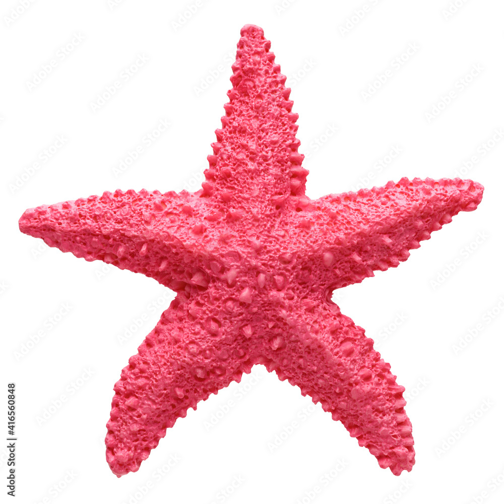 Red starfish souvenir, handmade decoration Red starfish souvenir, handmade decoration