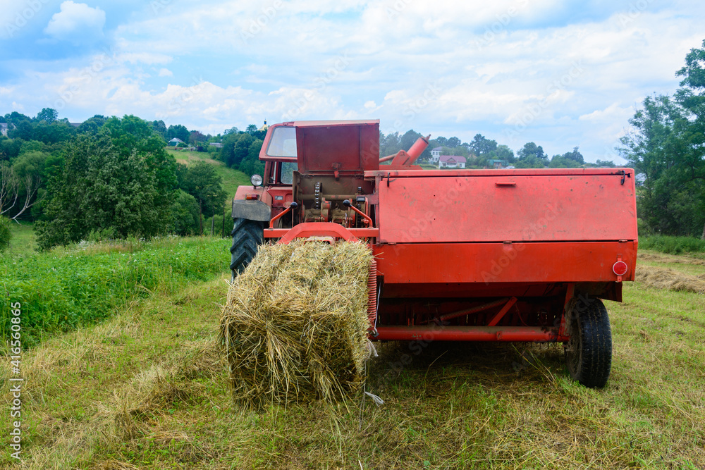 Obraz premium Pressing hay into bales, old working press, harvesting and harvesting dry fodder.