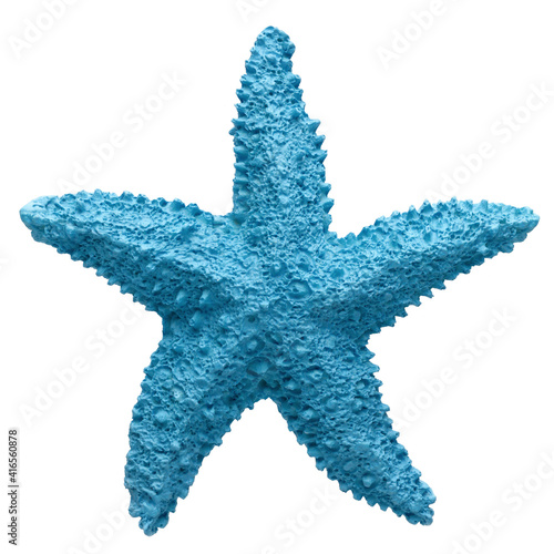 Blue starfish souvenir  handmade decoration