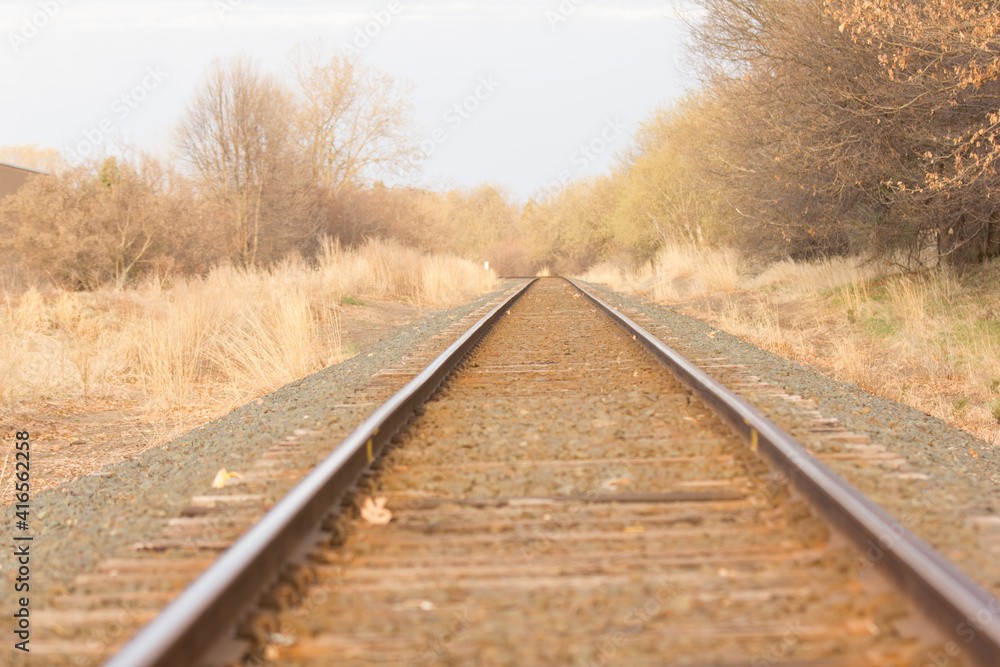 Obraz premium railway in the countryside