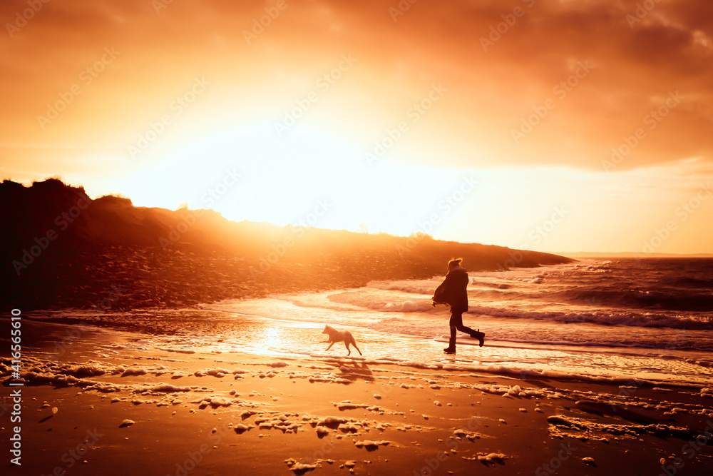 Des Menschen bester Freund - Hund und Mensch laufen gemeinsam in den Sonnenuntergang am Strand