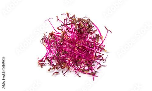 Microgreens amaranth isolate on a white background. Selective focus.