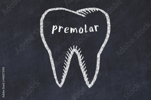 Картината върху платно Chalk drawing of a tooth with medical term premolar