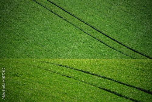 Moravian Farmland in Czechia Czech Republic exquisite texture and pattern waves and hills of green. © Viachaslau