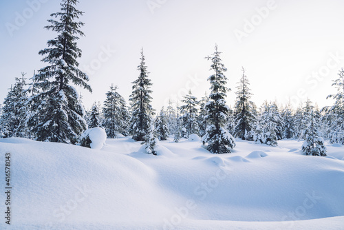Winter magical landscape. Frosty trees in snowy forest in the sunny morning. Tranquil winter nature in sunlight. Majestic atmosphere. Snow nature. Outdoor shot. © eskstock