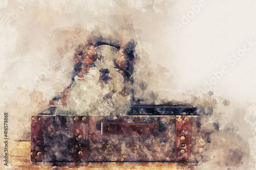 watercolor style and abstract illustration of adorable shi tzu puppy sitting in a suitcase