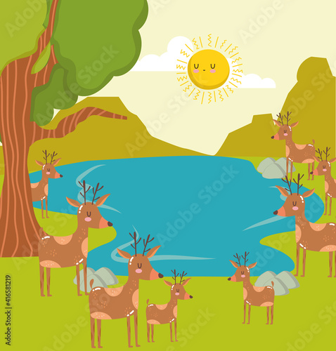 Animals deers lagoon