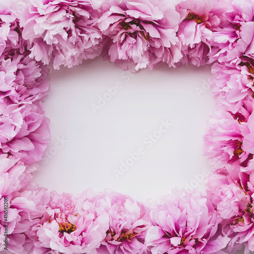Beautiful fresh pink peony flowers in full bloom on white background. Floral flat lay, top view. Copy space for text. Mother's day or Valentine's day card.