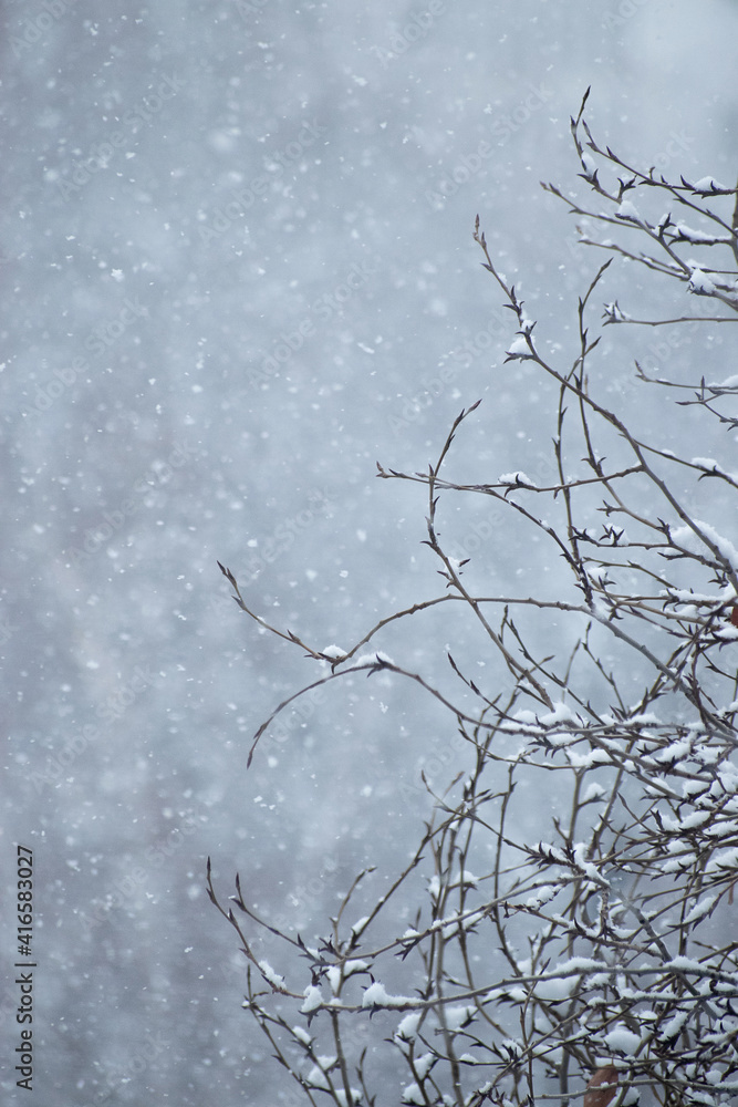 Obraz premium Tree branches on a background of falling snow