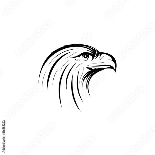 Detailed eagle head drawing. Vector