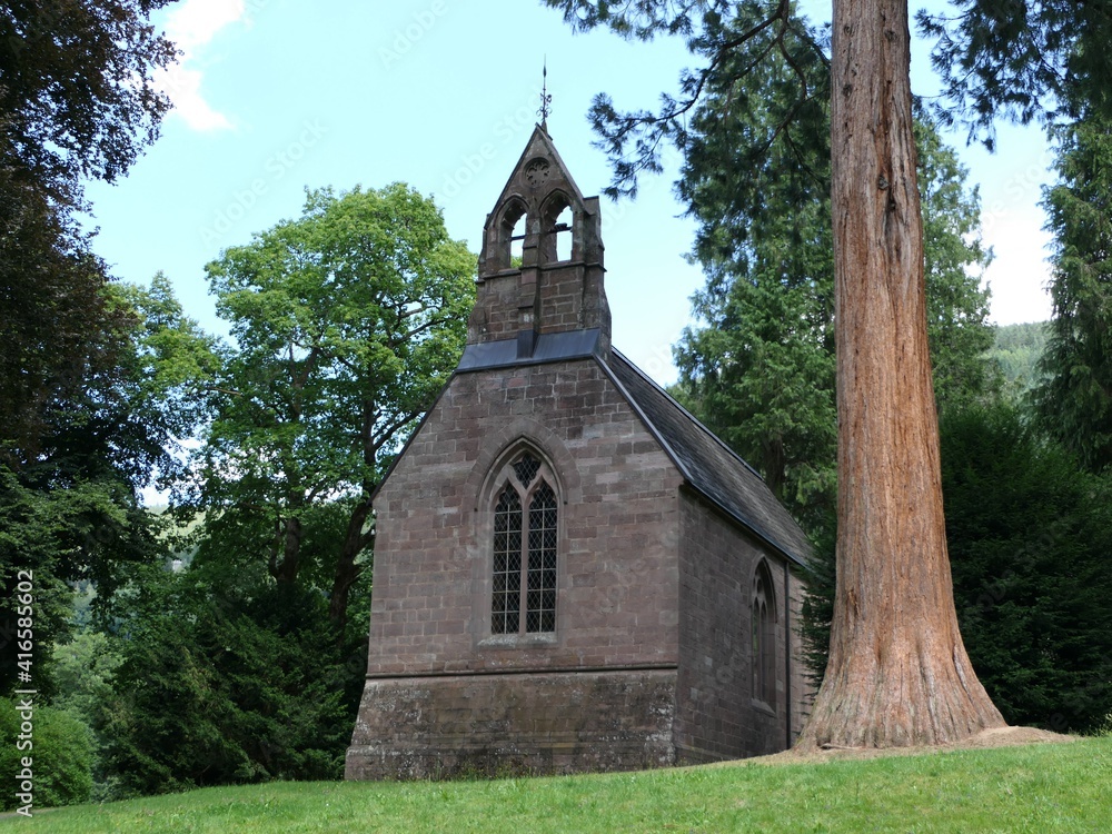 A small chapel next to a sequoia tree on a green hill