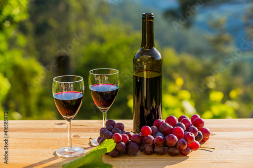 Fototapeta Naklejka Na Ścianę i Meble -  wine bottle and grapes