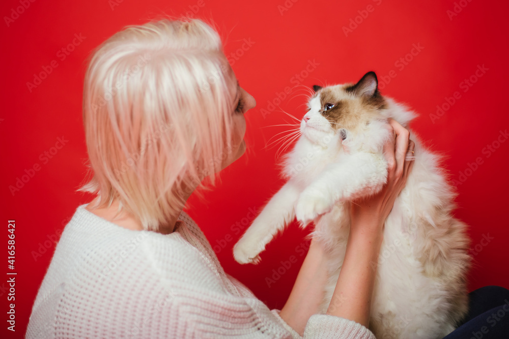 Young woman hugs a ragdoll cat on a red background. Love to the animals. Young woman hugs a ragdoll cat on a red background. Love to the animals.