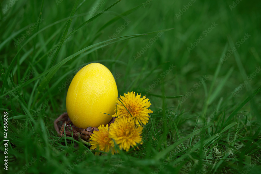 Easter, holidays and tradition concept. Colorful Easter eggs painted in pastel colors on grass background with blossom dandelion. Easter, holidays and tradition concept. Colorful Easter eggs painted in pastel colors on grass background with blossom dandelion.