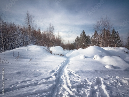 Beautiful winter landscape with snow covered trees. Trees covered with white fluffy snow.