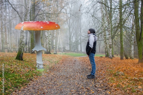 A young man stands in the middle of an autumn landscape and stares at a giant two meter high Amanita muscaria.A large toadstool grows in a mysterious deciduous forest. 