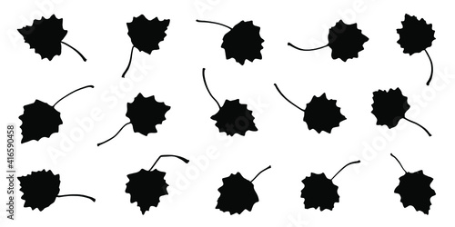 various bigtooth aspen leaf silhouettes on the white background