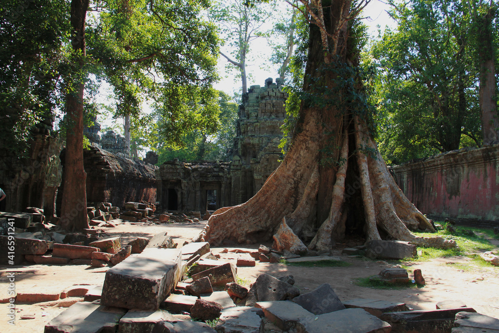 Forest and ruins of Ta Phrom temple in Cambodia Forest and ruins of Ta Phrom temple in Cambodia