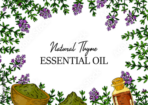 Horizontal hand drawn thyme frame with the bowl with dried herbs and essential oil bottle isolated on white background. Vector illustration in colored sketch style.