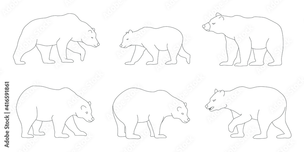 various simple bear line on the white background various simple bear line on the white background