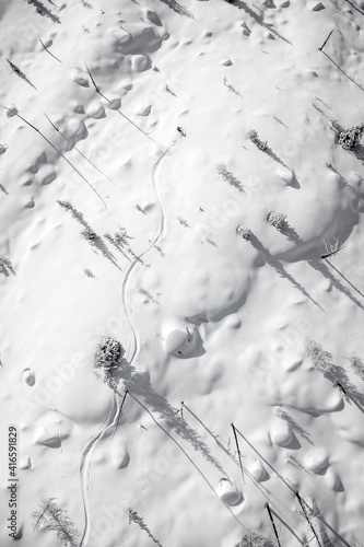 A woman is powder skiing in British Columbia, Canada.