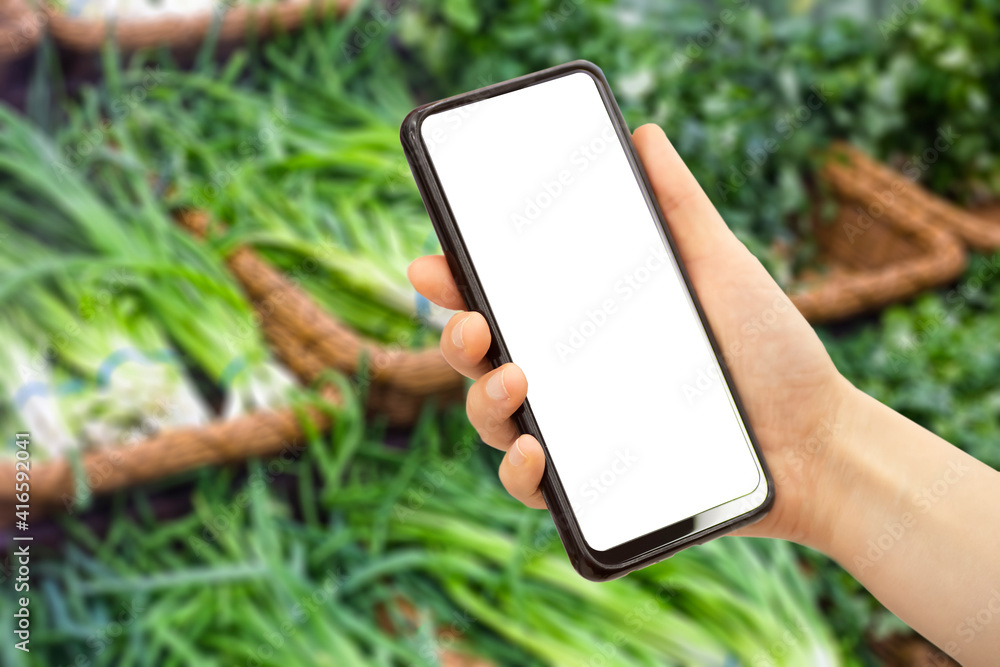 Online grocery delivery app in a mobile phone. Food market service in smartphone. Grocery delivery background concept. Shopping cart. Empty blank screen
