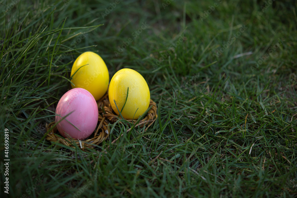 Easter, holidays and tradition concept. Colorful Easter eggs painted in pastel colors on grass background.
