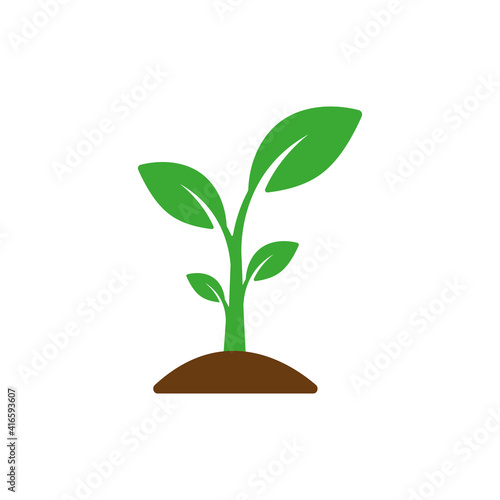Small, leafy green seedlings on the ground. Vector drawing.